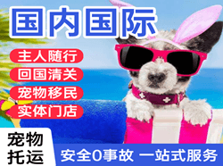青岛胶东机场快递国际宠物托运 【国